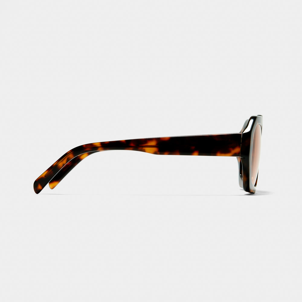 EMIDIO | Smoked Sunglasses