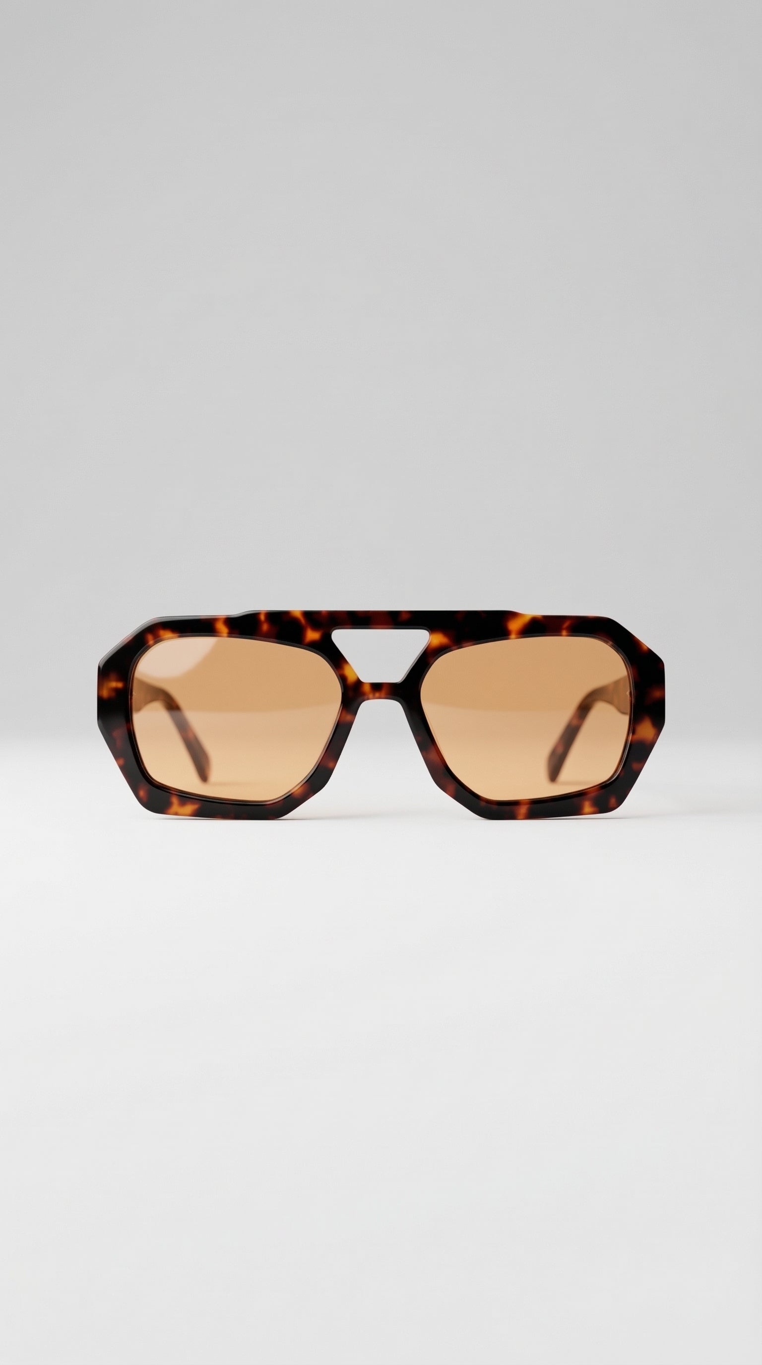 EMIDIO | Smoked Sunglasses